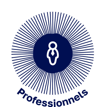 panneau solaire corse professionnels